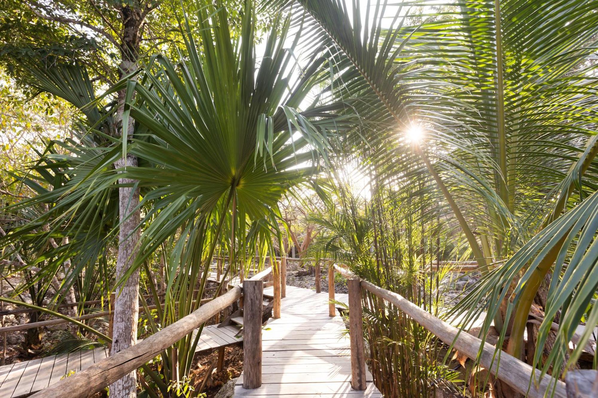 Pepem Holistic Experience - Peaceful Retreat Near Tulum (Adults Only) Βίλα Εξωτερικό φωτογραφία